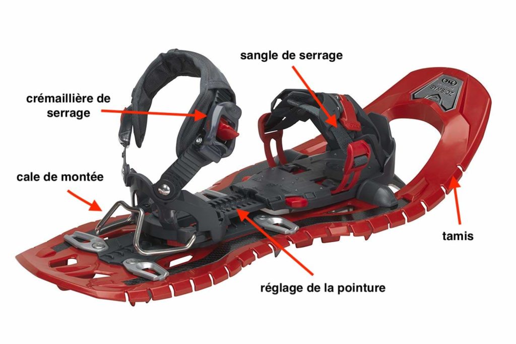 schéma explicatif raquette a neige vue dessus