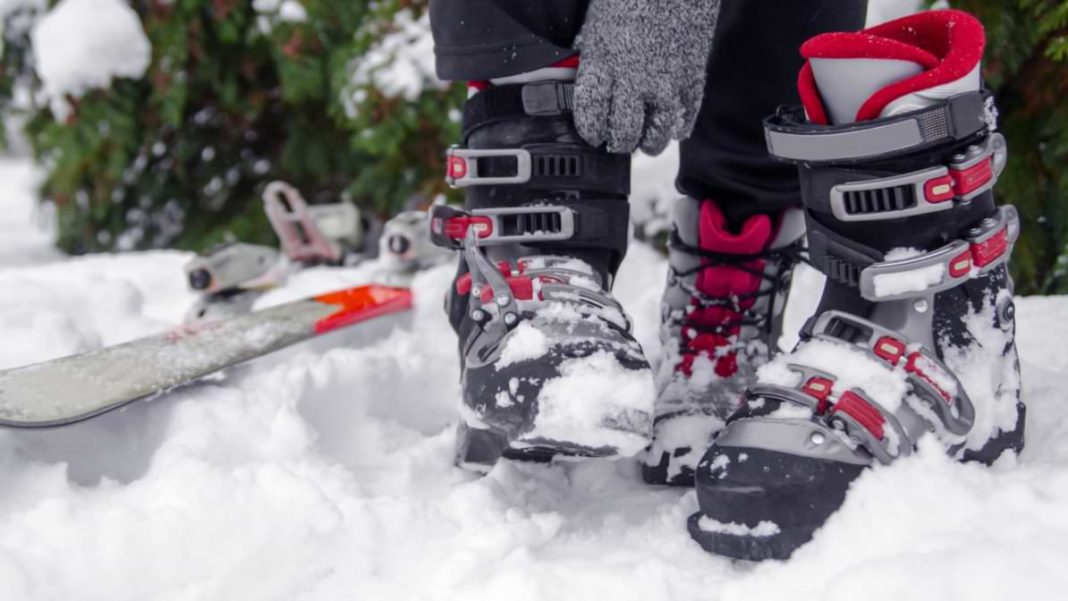 housse sac chaussures de ski