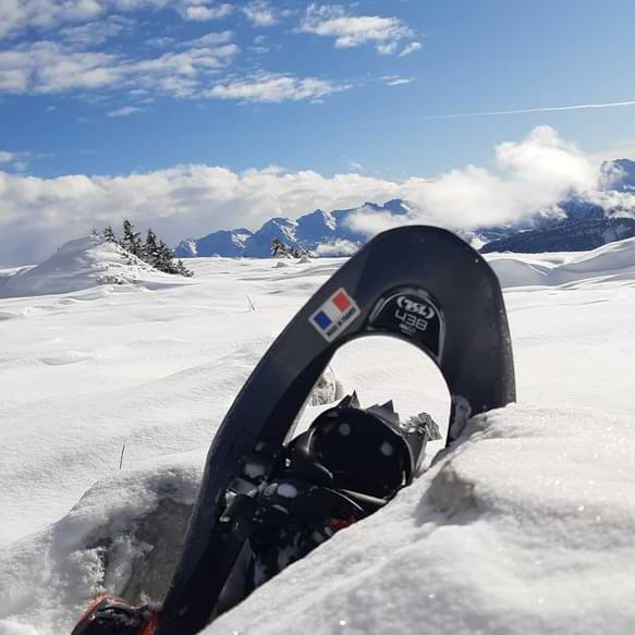 sortie raquette à neige tsl 