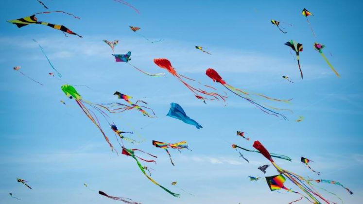 Quel est le Meilleur Cerf Volant ? Comparatif Enfant / Adulte