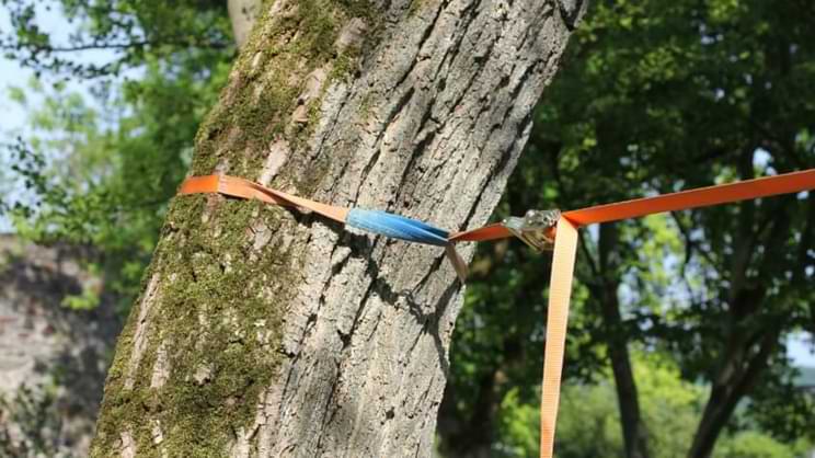 installer sangle slackline arbre cliquet