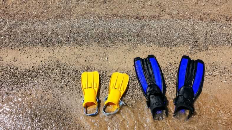 palme plongée natation courte