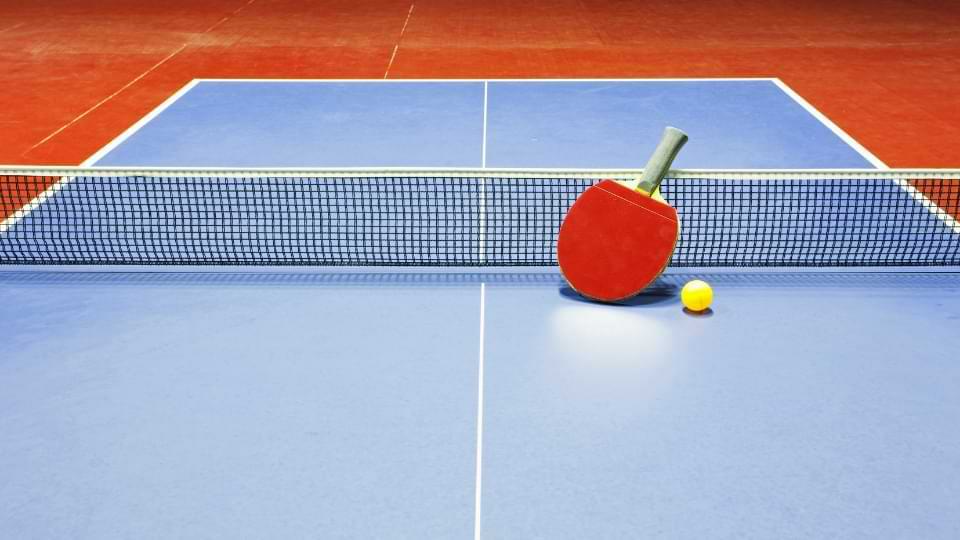 table raquette filet ping pong