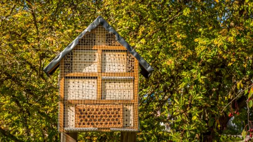 lieu pour installer maison a insecte