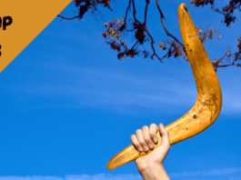 meilleur boomerang