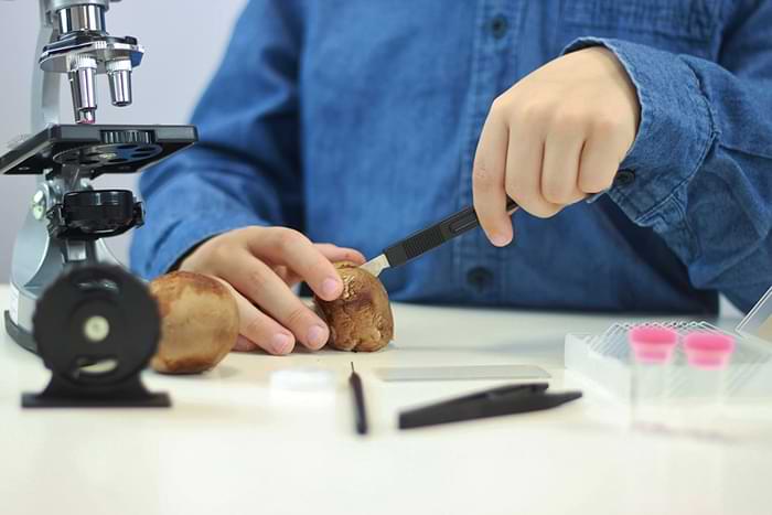 expérience scientifique télescope enfant