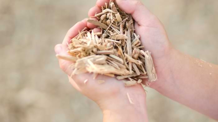 type de sciure de bois