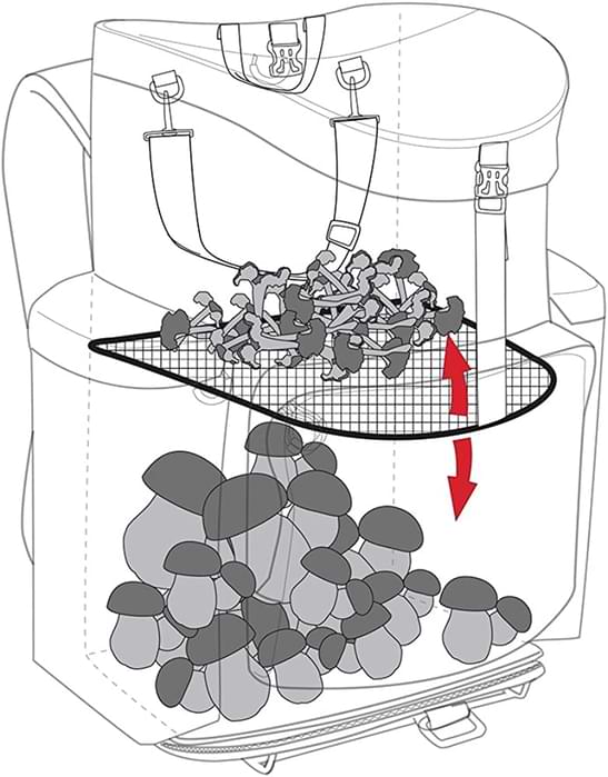 rangement champignon sac a dos