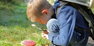 sac a dos champignon