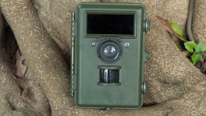 camera nature camouflage forêt vert