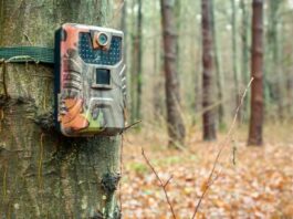 meilleure camera animaux chasse nature
