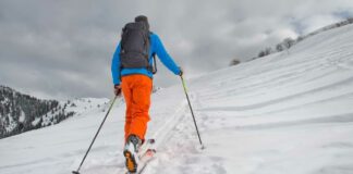 meilleur ski de randonnée