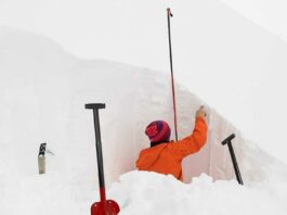 meilleure sonde avalanche