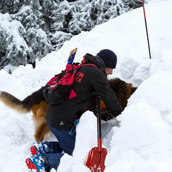 sonde avalanche neige secours