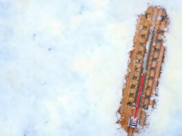 temperature de la neige