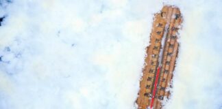 temperature de la neige