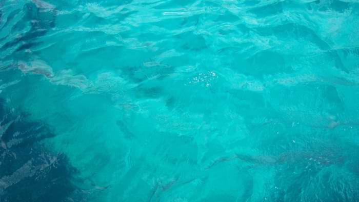sel eau de mer