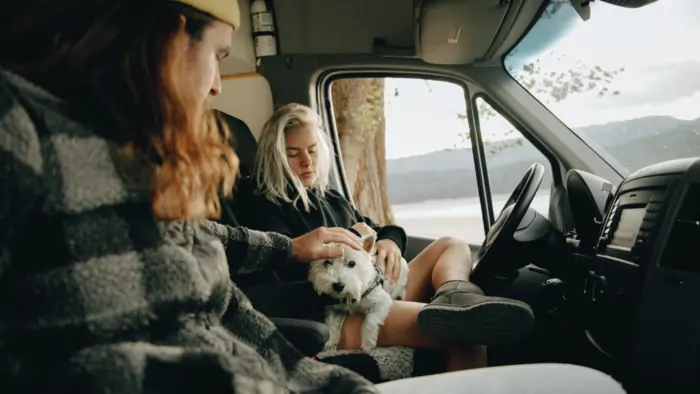 CHIEN VOYAGE EN CAMPING CAR VANLIFE