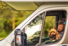 animaux chien voyage camping car