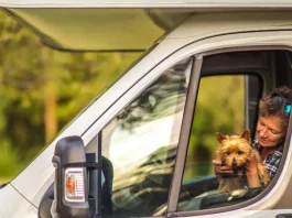 animaux chien voyage camping car