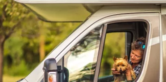 animaux chien voyage camping car