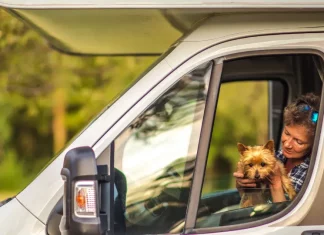 animaux chien voyage camping car